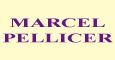 MARCEL PELLICER