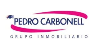 GRUPO INMOBILIARIO PEDRO CARBONELL