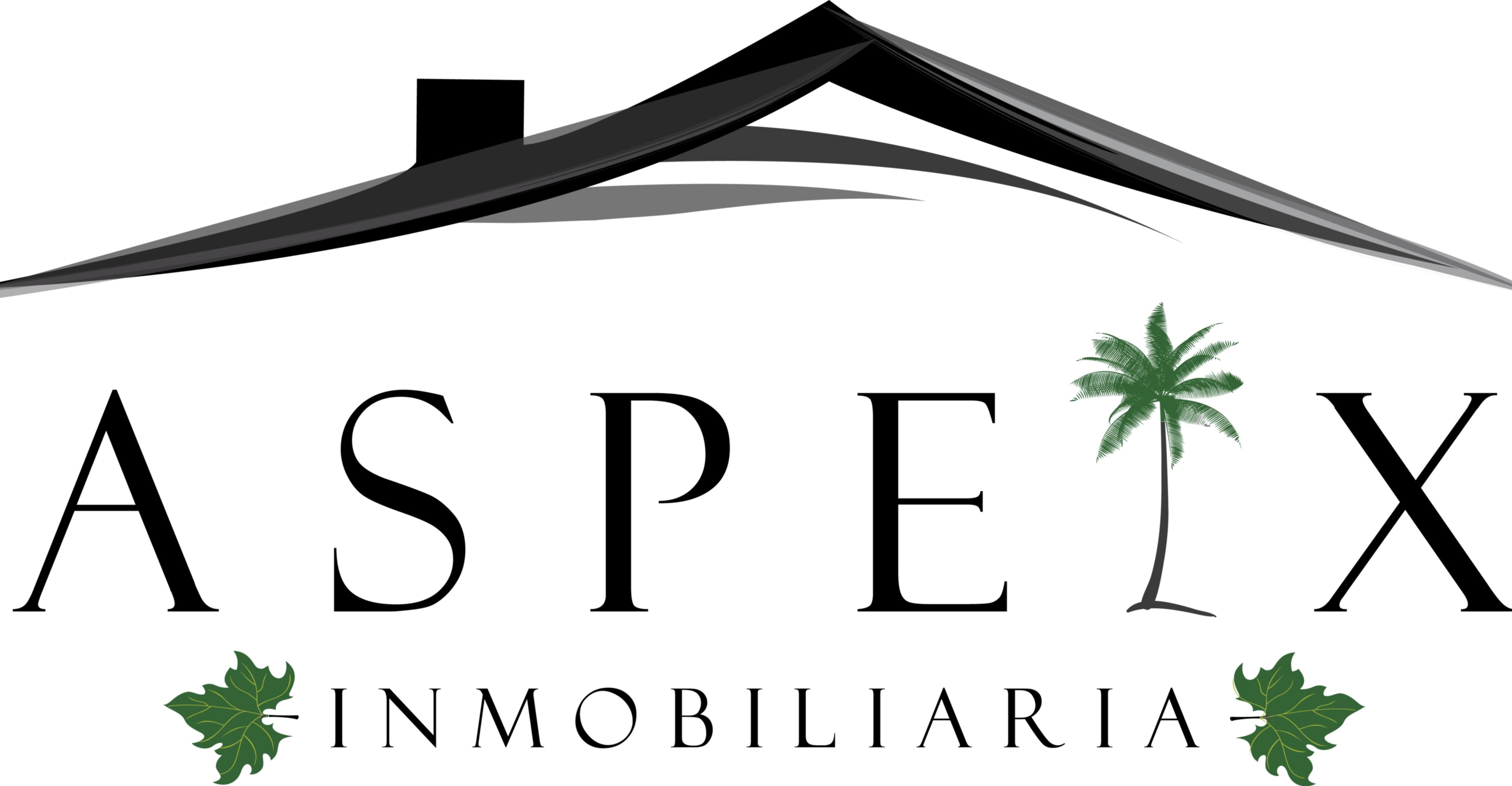 ASPELX GESTIÓN INMOBILIARIA