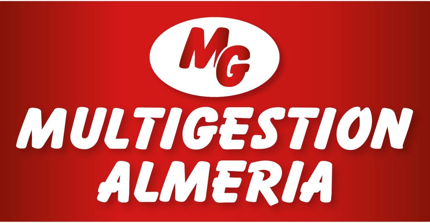 ACTIVOS MULTIGESTION, S.L.U