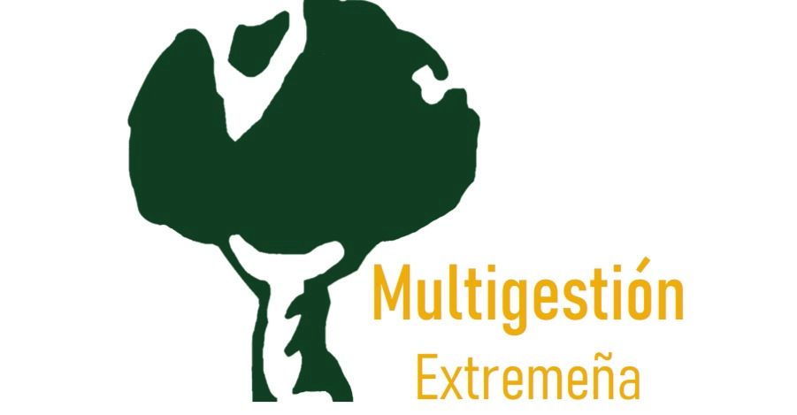 MULTIGESTIÓN EXTREMEÑA