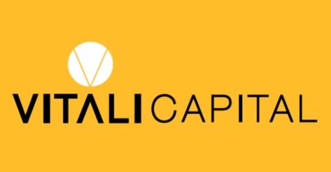 VITALI INDUSTRIAL
