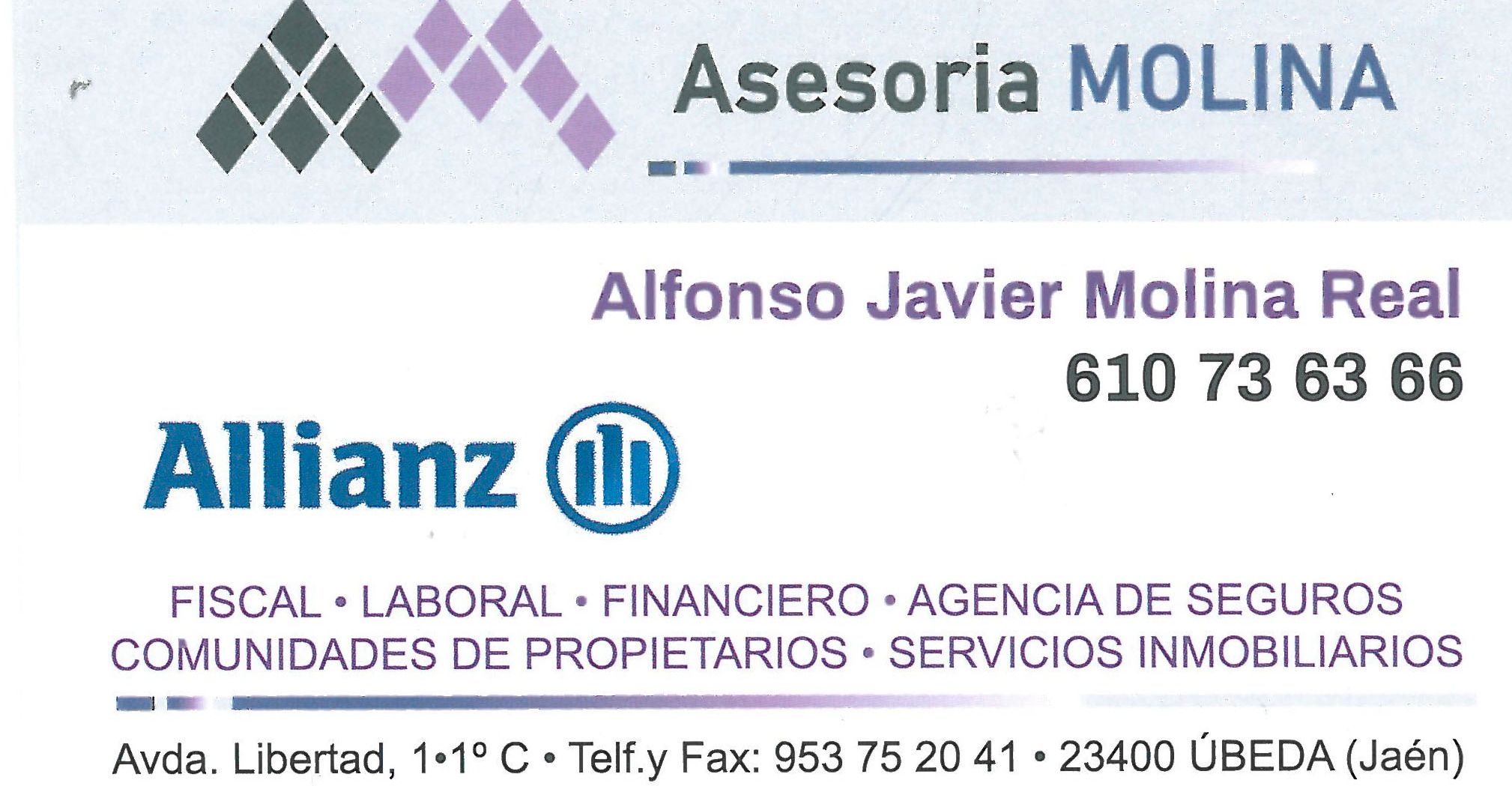 ASESORIA MOLINA