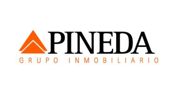 GRUPO PINEDA PUIG