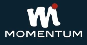 MOMENTUM REAL ESTATE