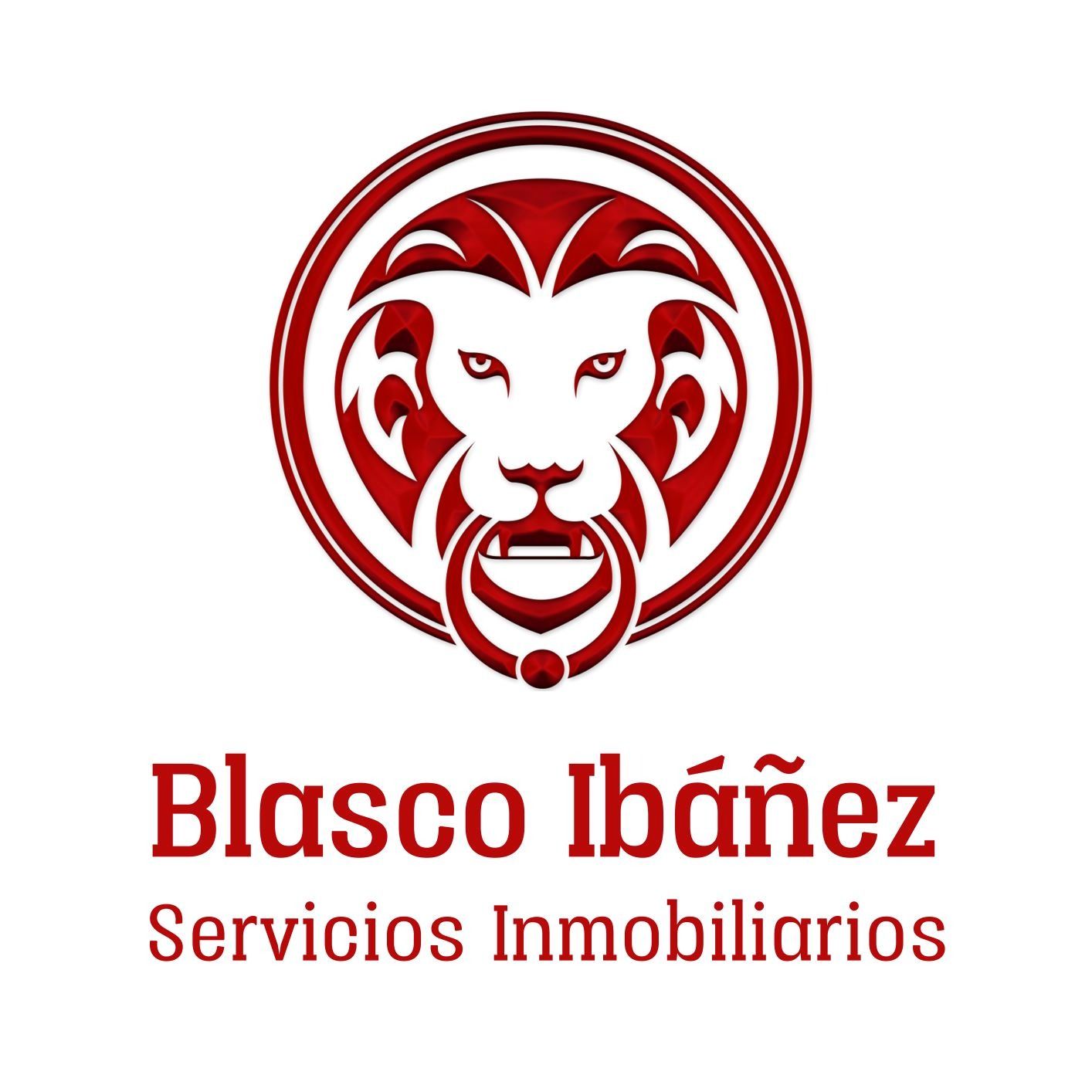 INMOBILIARIA BLASCO IBAÑEZ