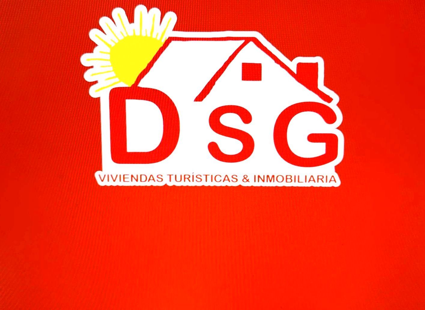INMOBILIARIA DSG
