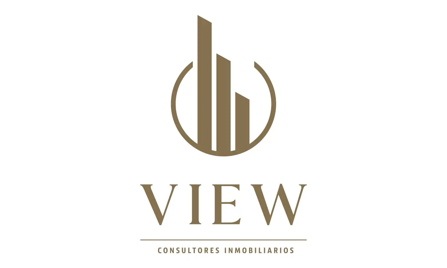 View Consultores