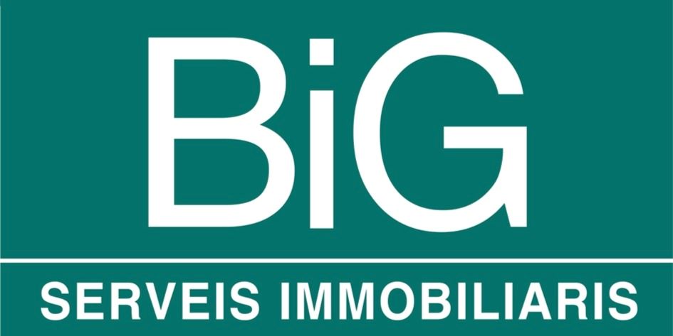 BiG SERVEIS IMMOBILIARIS